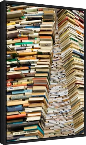 Amanti Art Framed Canvas Art 23x16 Book Sculpture at Prague City Library 2