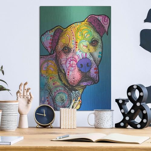 Zeus Custom-004 Metal Wall Art by Dean Russo 12x16