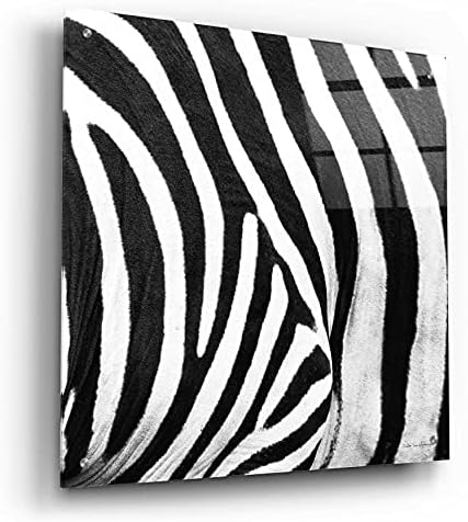 Epic Art Zebra IV by Debra Van Swearingen Acrylic Wall Art 24x24