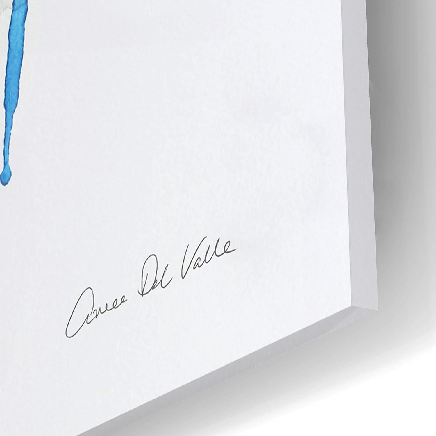 Colorful Parrots I Acrylic Wall Art by Alan Majchrowicz