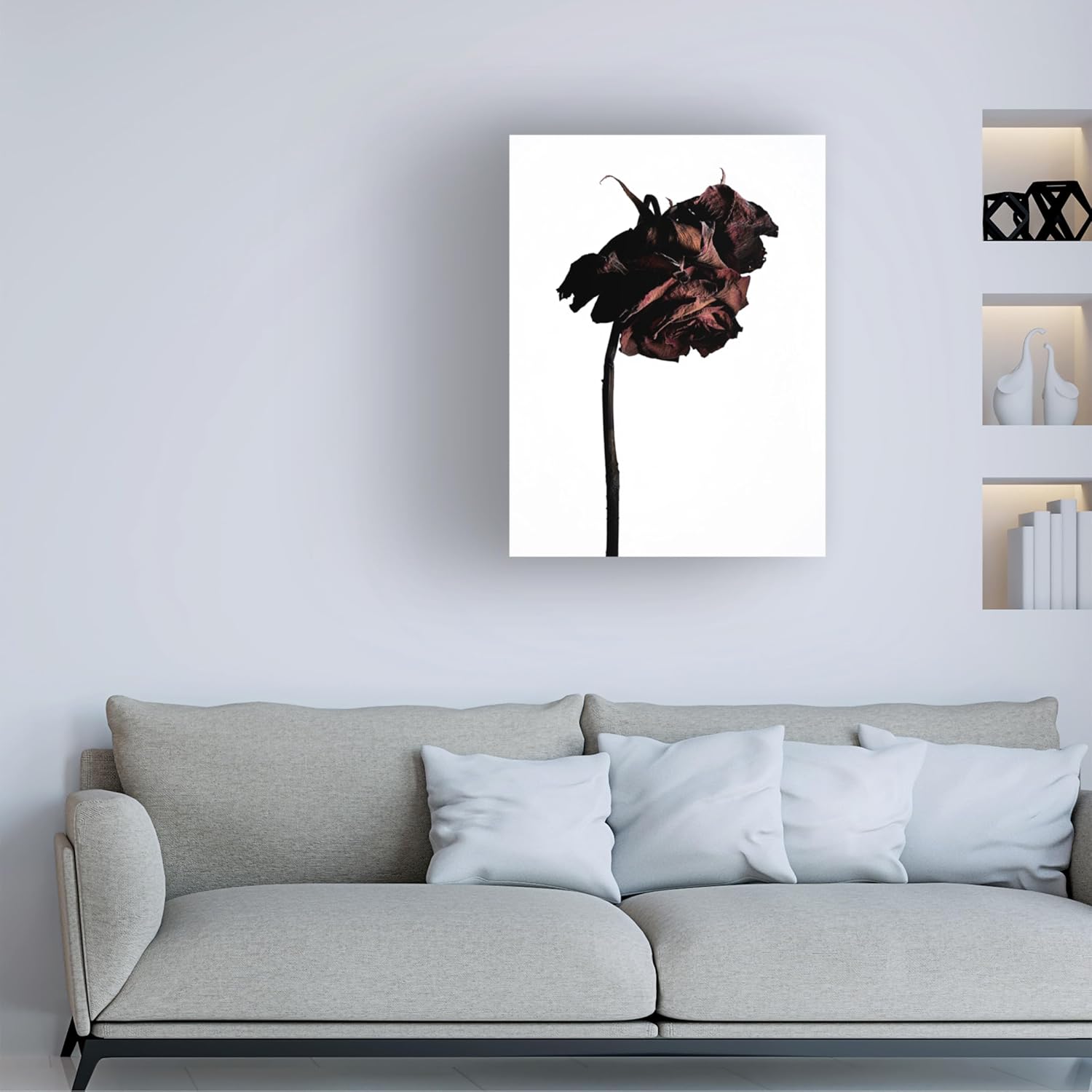 Trademark Fine Art Canvas Wall Art - Shiro Miyake Dried Flower Art for Living Room Bedroom or Office Decor