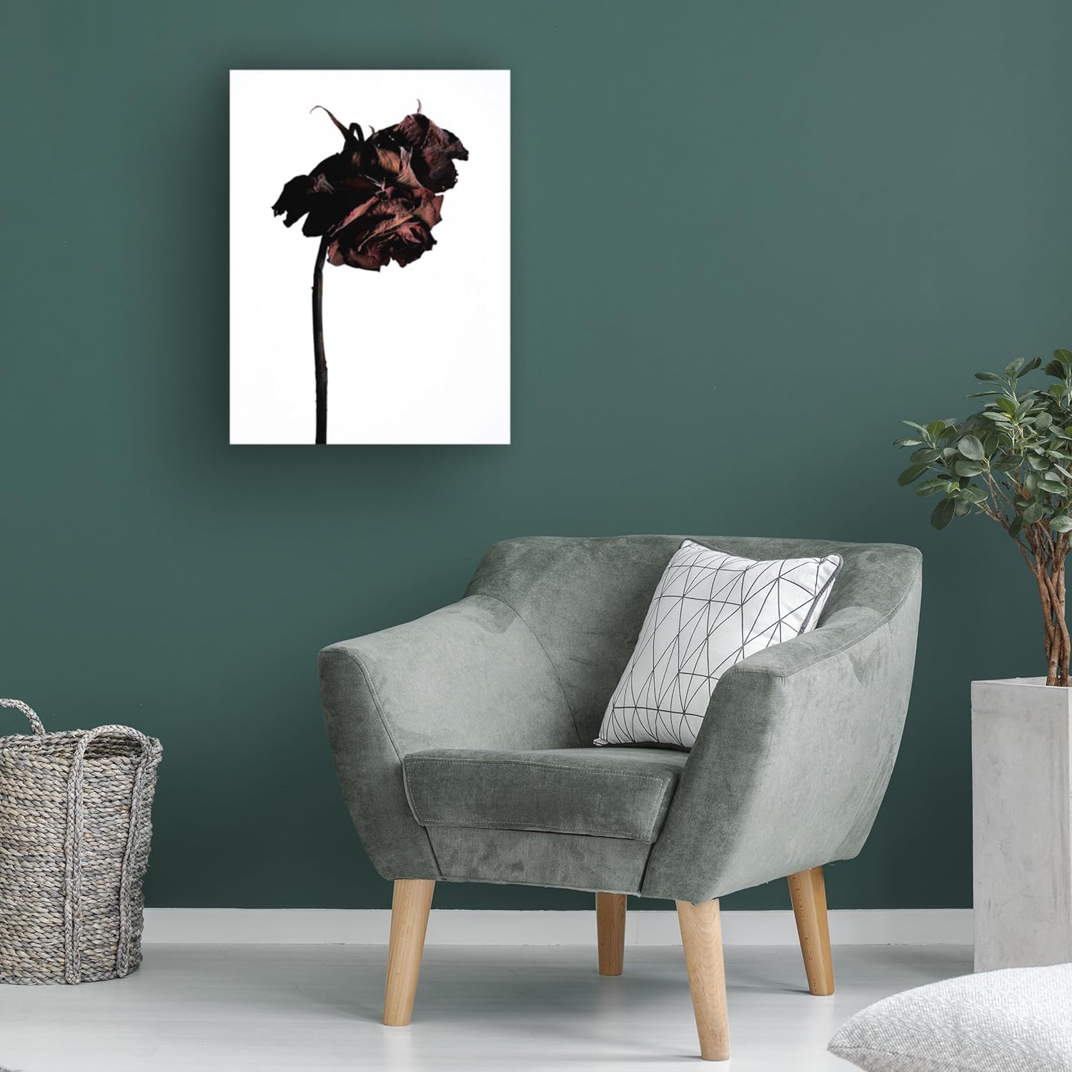 Trademark Fine Art Canvas Wall Art - Shiro Miyake Dried Flower Art for Living Room Bedroom or Office Decor