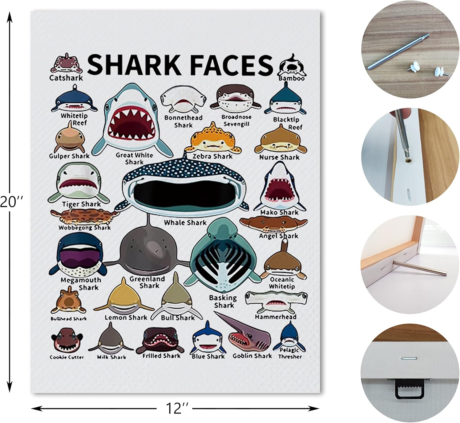 Nogrit Shark Canvas Wall Art 11x14 Inch for Home Decor and Gifts